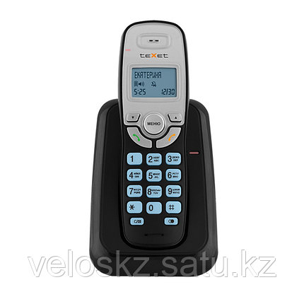 Texet Телефон беспроводной Texet TX-D6905А черный, фото 2