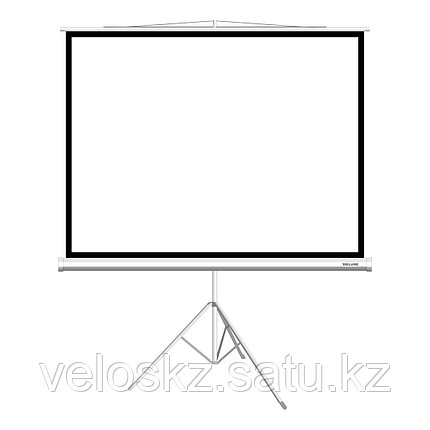 Delux Экран на треноге Deluxe DLS-T203x154W (80"х60"), фото 2