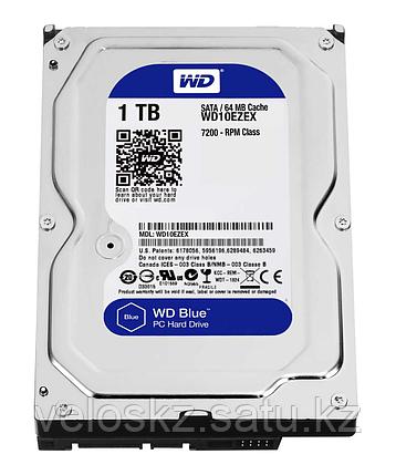 Western Digital (WD) Жесткий диск HDD 1000 Gb WD Blue WD10EZEX 64MB 7200RPM, фото 2