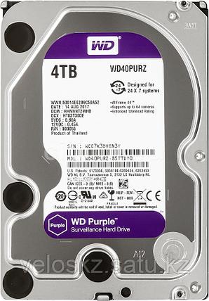 Western Digital (WD) Жесткий диск HDD 4000 Gb WD Purple WD40PURZ 64MB 5400RPM, фото 2