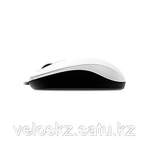 Компьютерная мышь Genius DX-110 White, фото 2