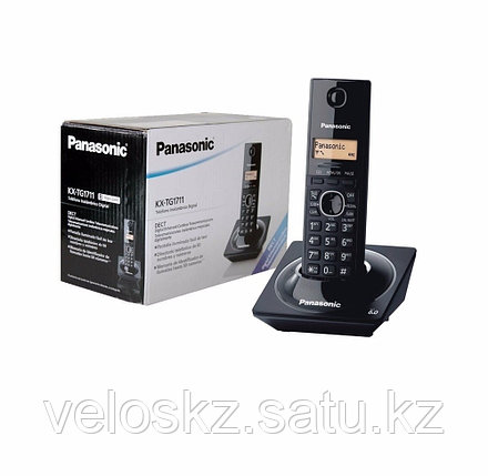 Телефон беспроводной Panasonic KX-TG1711, фото 2