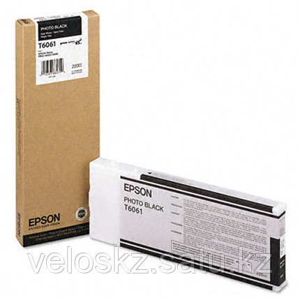 Картридж Epson C13T606100 SP-4880 фото черный, фото 2